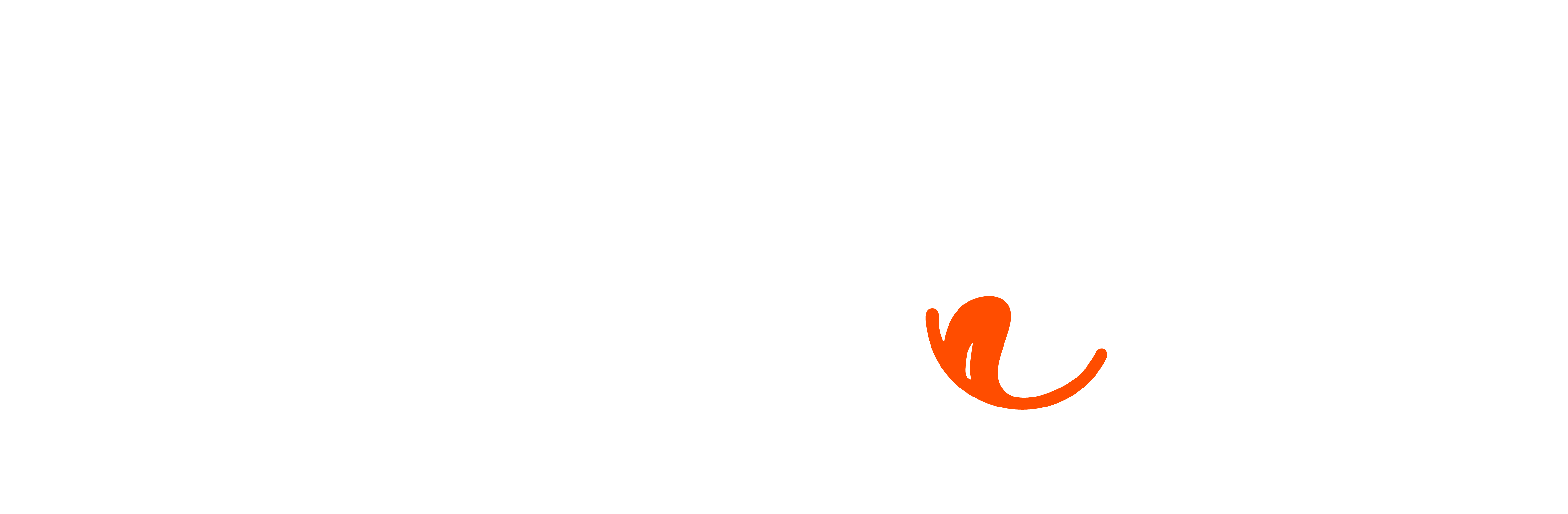 logo white.png